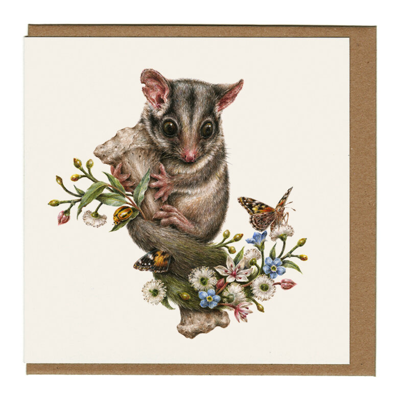 Australian Wildlife Mixed Card Pack 6 cards
