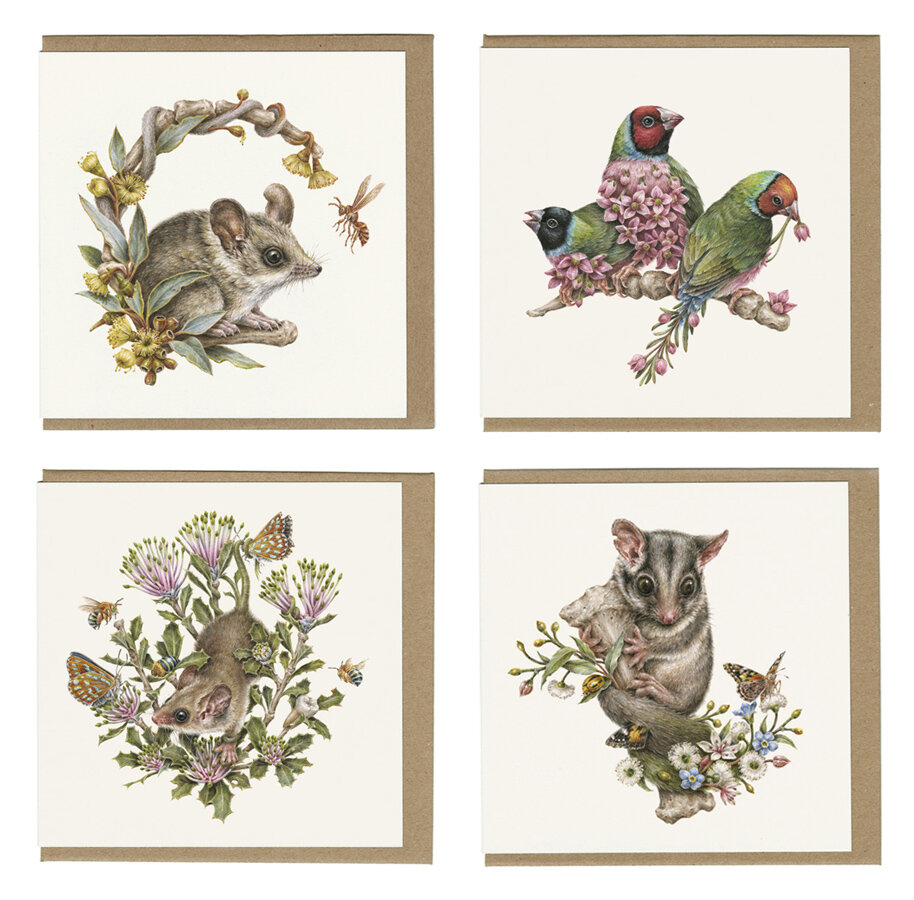 Australian flora & fauna greeting card pack — Courtney Brims