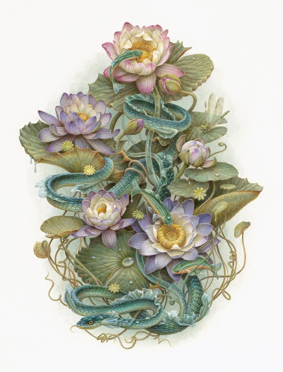 Print size - The Hydra.jpg