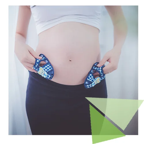 optimus_pre_natal.jpg