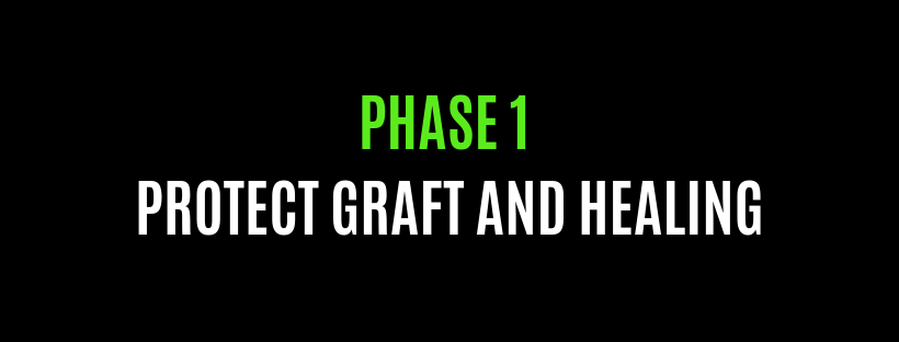 PHASE ONE.png