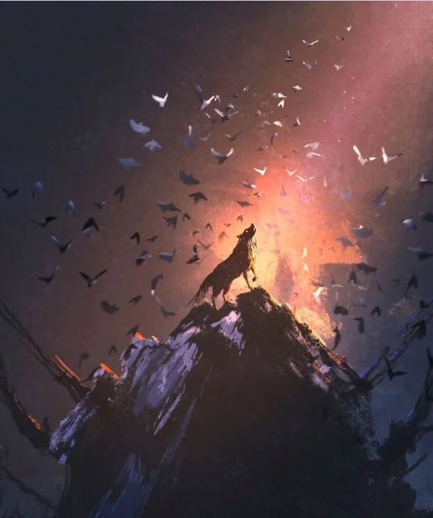 D&amp;D Adventure Part 01