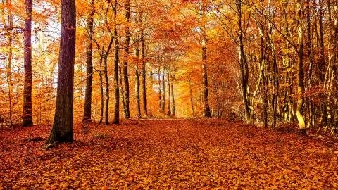 Nov 2022 Catch Up