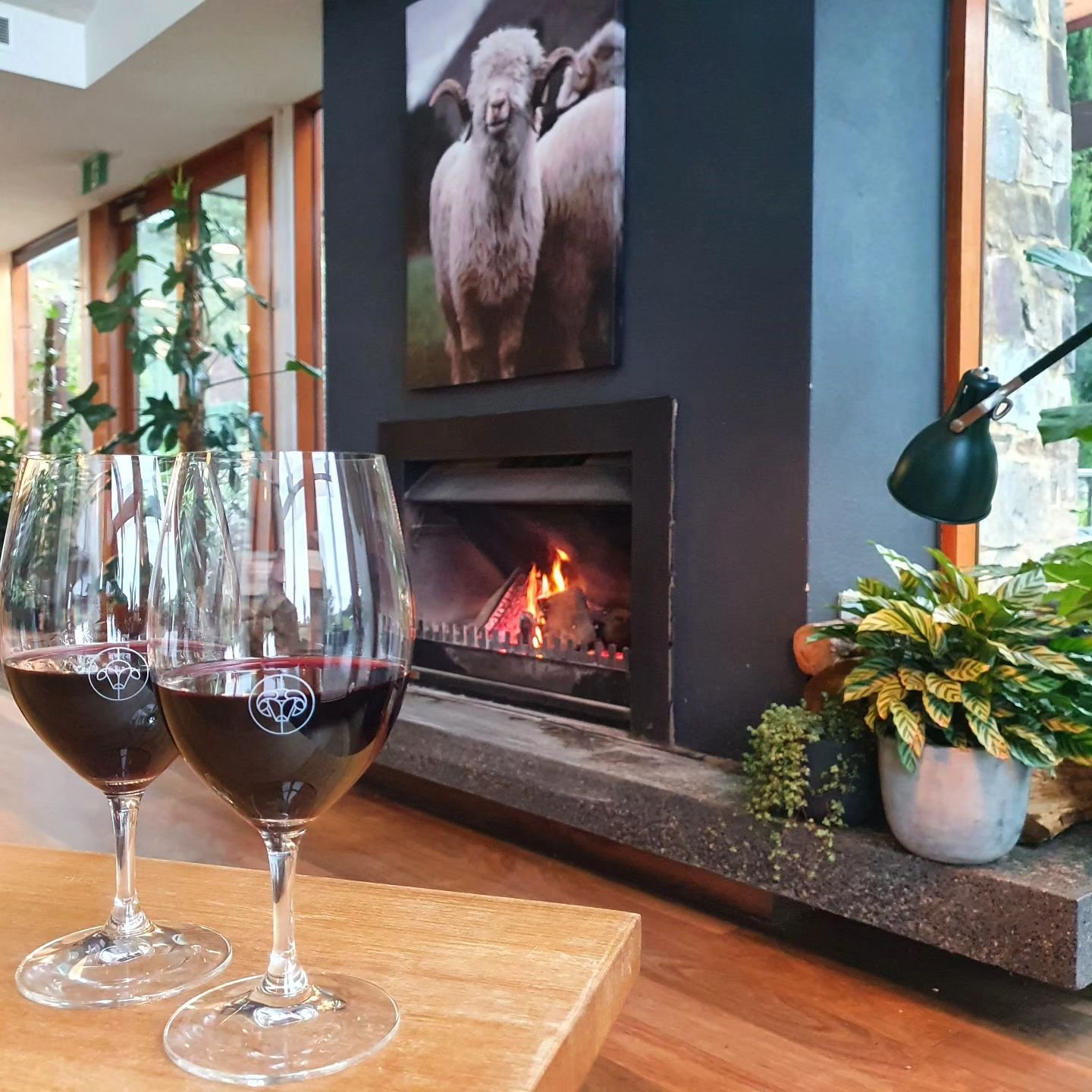 Saturday by the fire 🍷

#Saturday #dine #dining #red #openfire #gippsland #warragul #gippslandwine #settlein