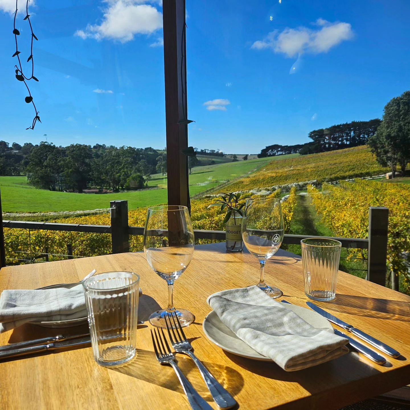 Welcome to the weekend, Gippsland! What a perfect Autumn day 🙌 

We still have some tables available for lunch today and for dinner tonight - come and join us for some of this gorgeous sunshine, partnered with our ever-changing seasonal menu and a g