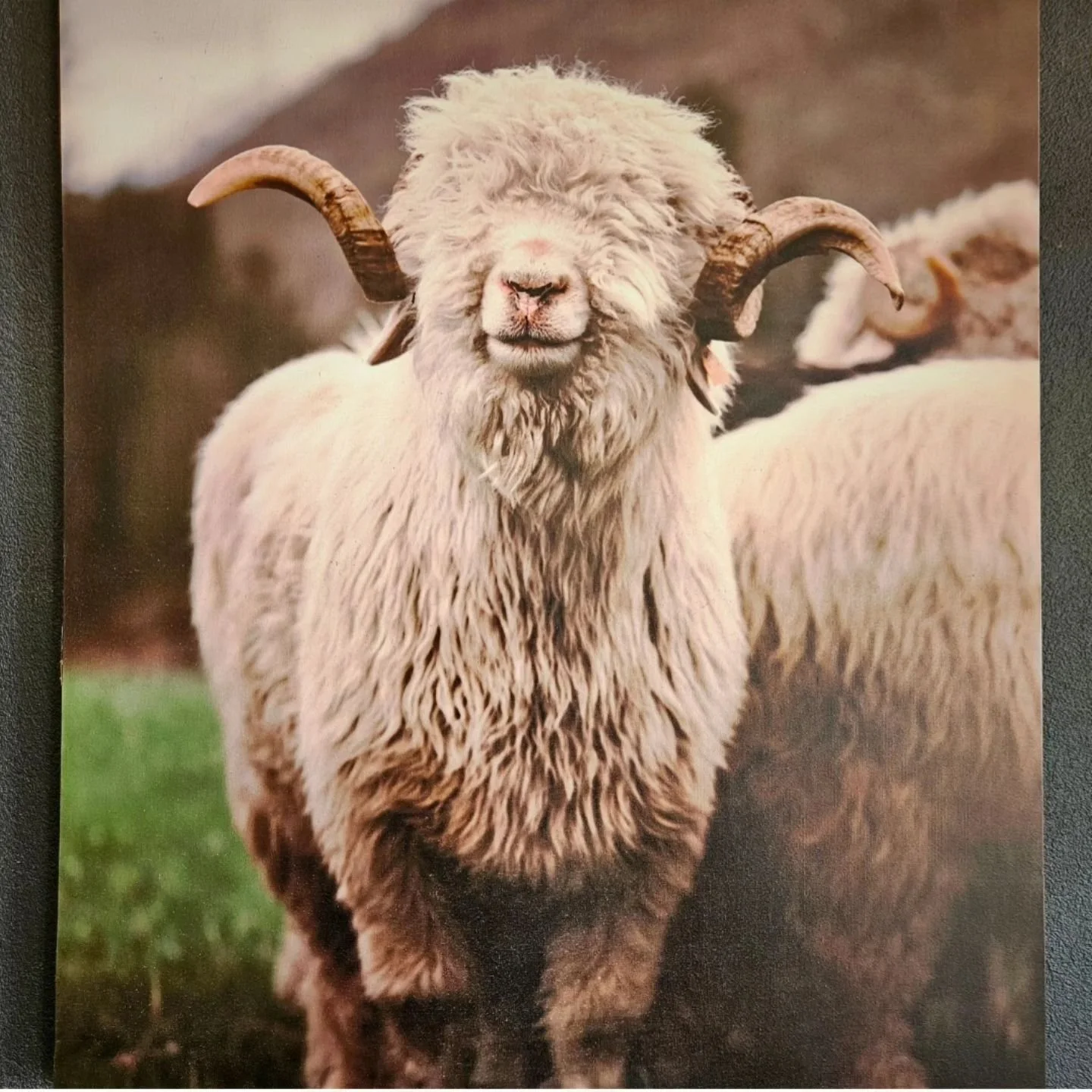 We have plenty of tables available this week. We would love to see you through our doors! ❤️ 

#gippsland #warragul #dine #seasonal #local #ethical  #supportlocal #supportsmallbusiness