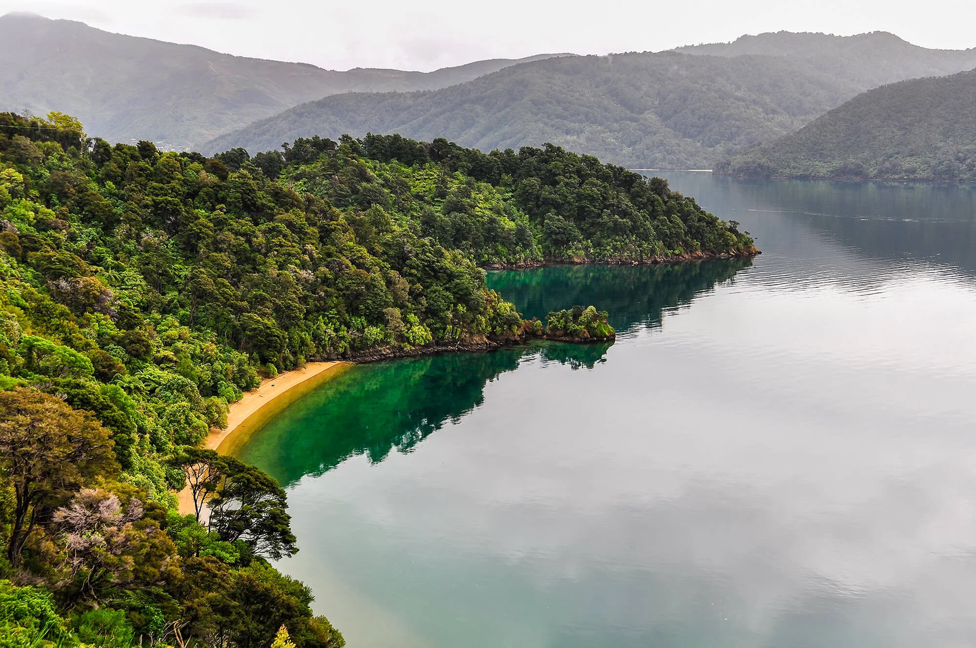 View-of-bays-in-Queen-Charlotte-Road,-New-Zealand-513229462_4288x2848.jpg
