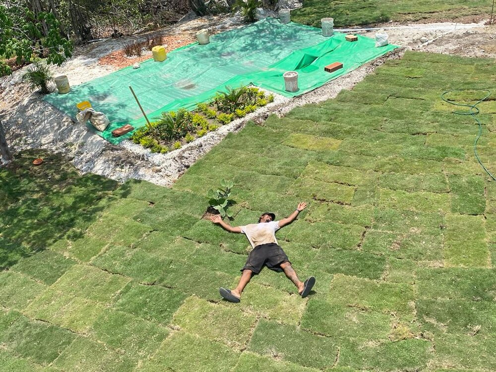 The day we finished laying the grass