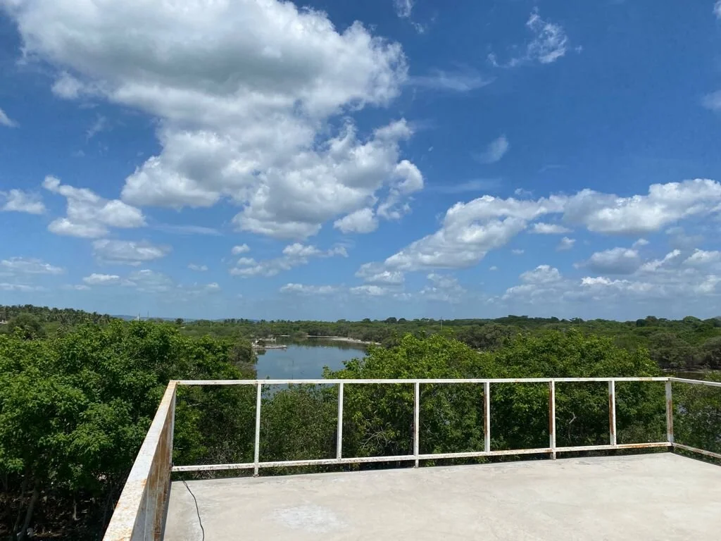 Current Terrace - much better but still not 100% done