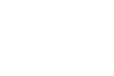 HSM.png