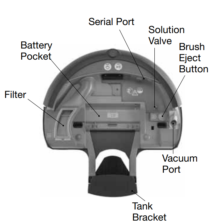 You'll have to remove the filter and vacuum port, as well as press the brush eject button to remove the brush, for washing.