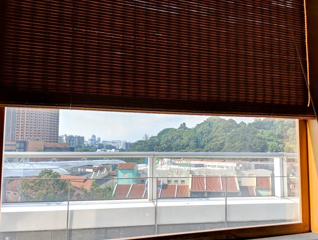 The view from Ikeda Spa.