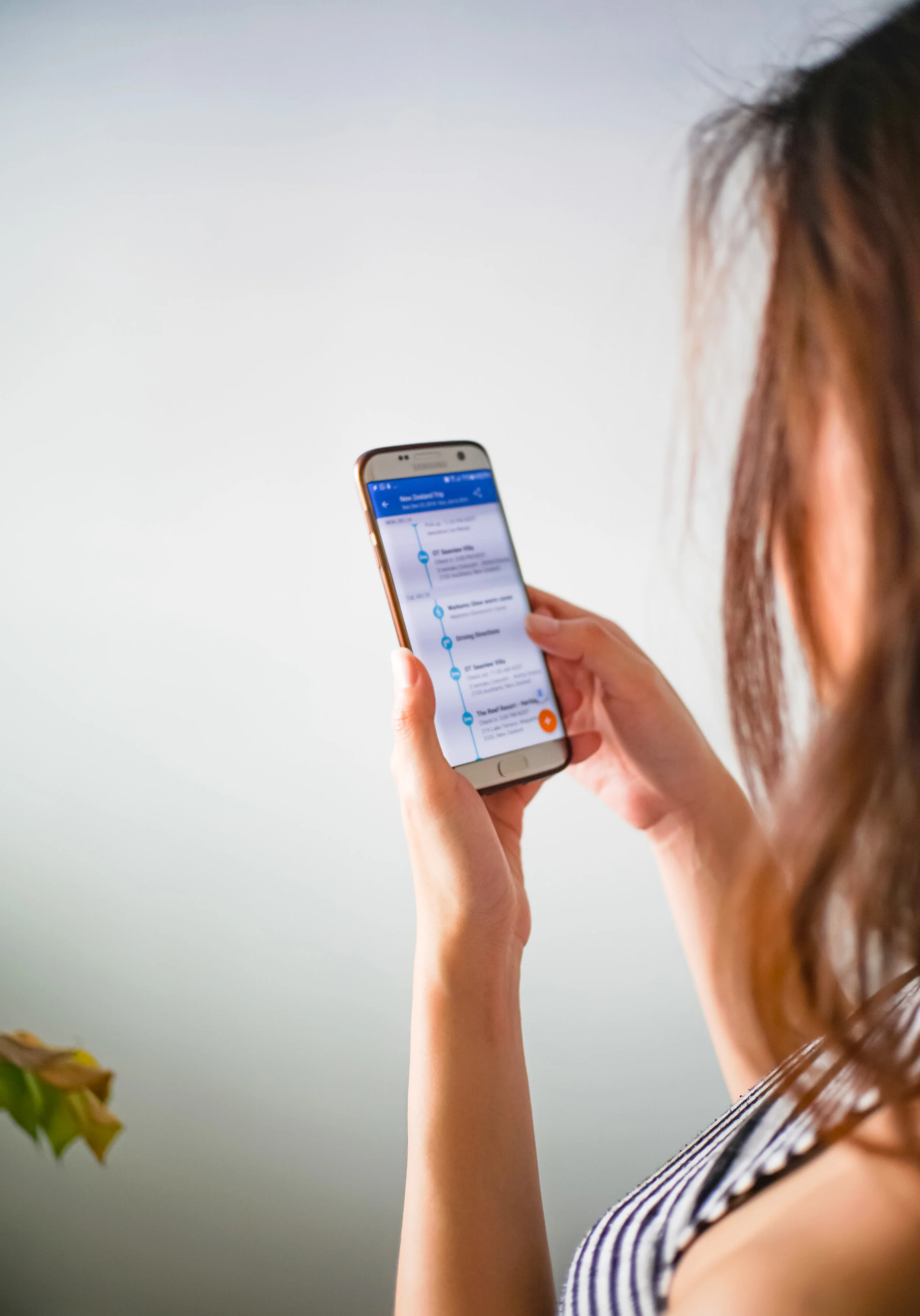 Research your activities, then add your plans to TripIt.