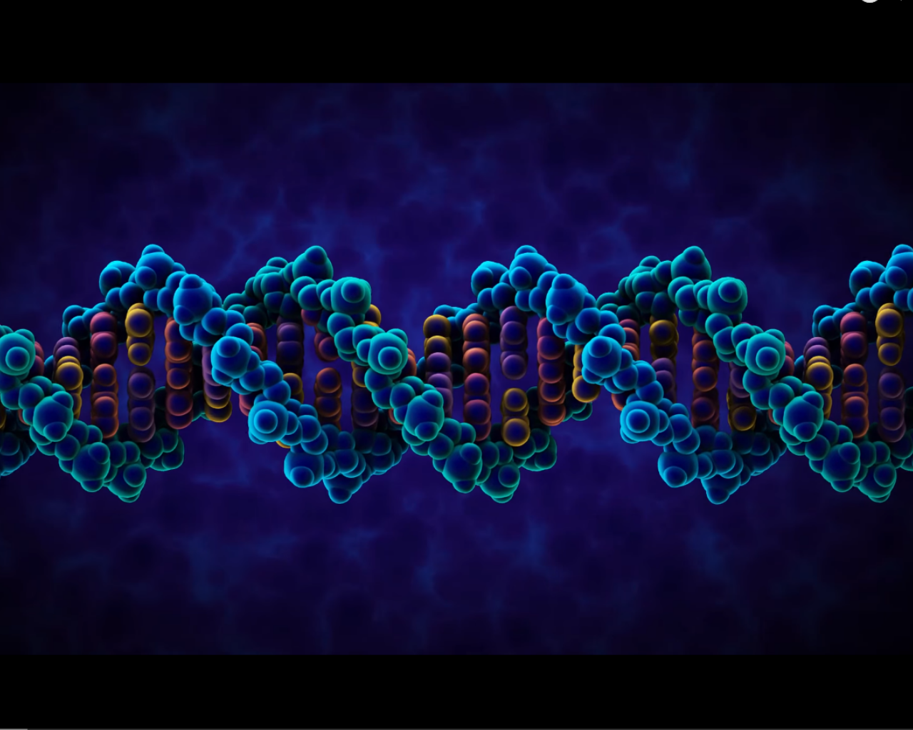 DNA55.png