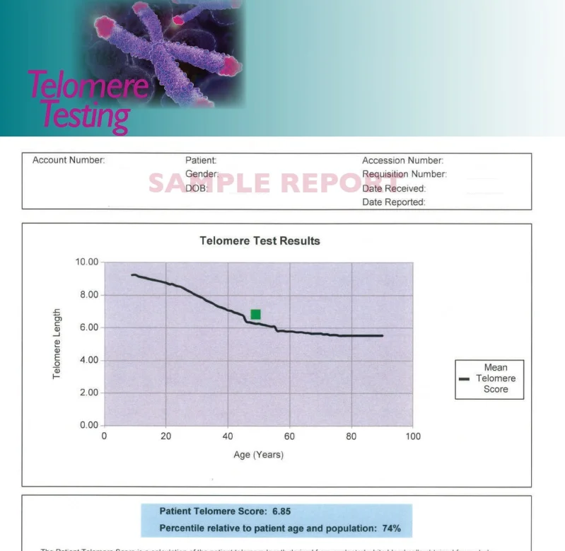 Telomere.jpg