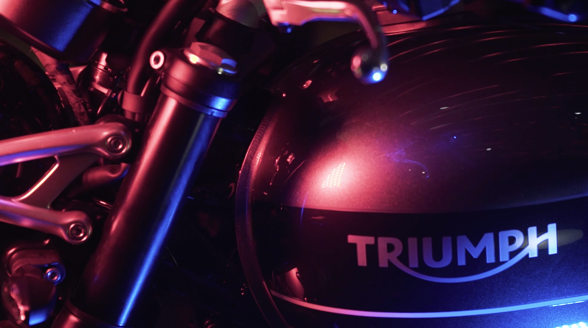 MYxTRIUMHP_ST12005.png