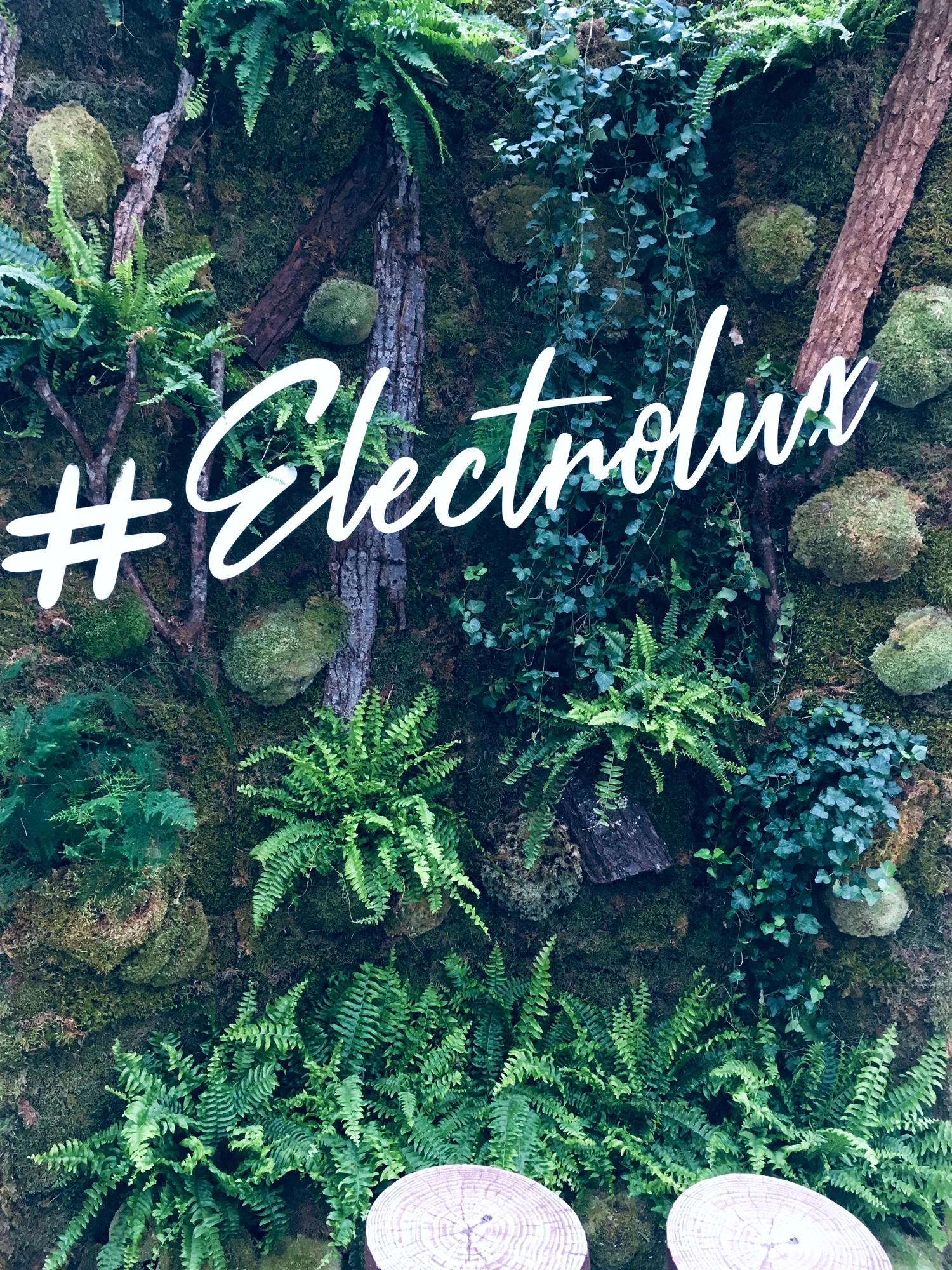MYxELECTROLUX6.jpg
