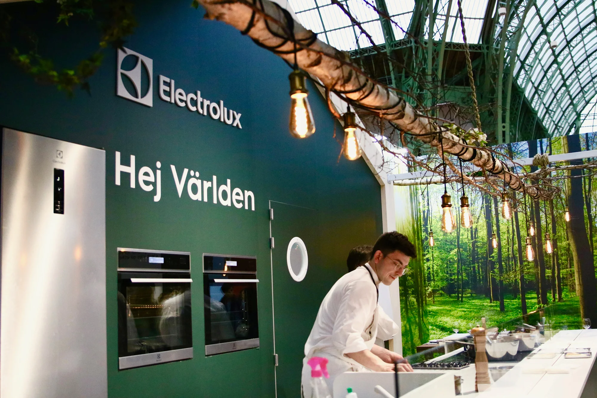 MYxELECTROLUX13.jpg