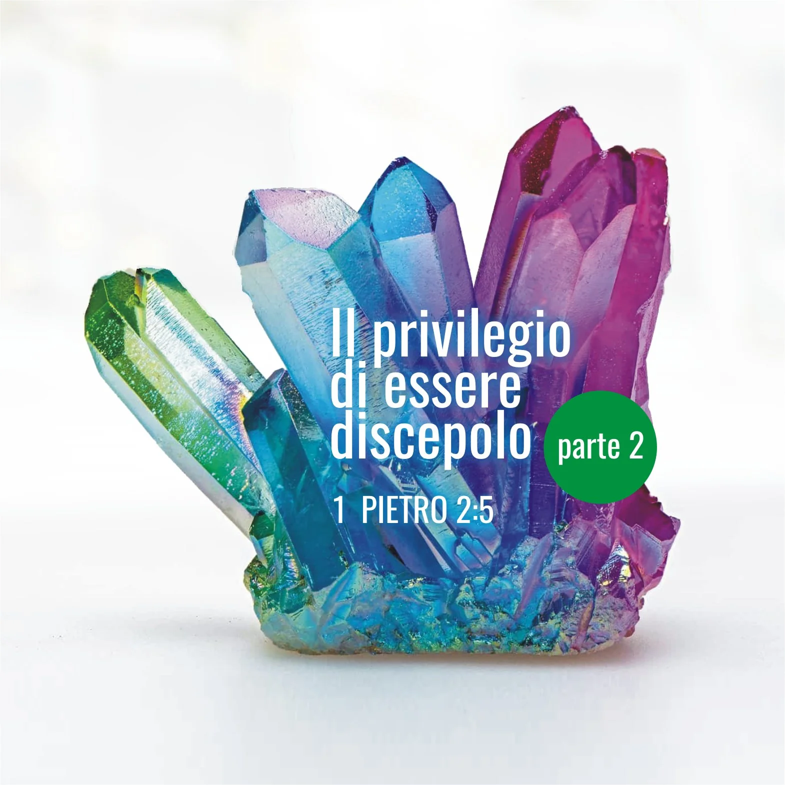 Il privilegio di essere discepoli – 1 Pietro 2:5 – Parte 2 — 5.5.2024