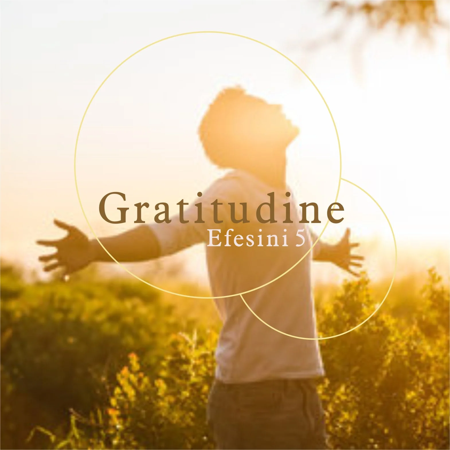 La gratitudine – Efesini 5 – 30.11.2025
