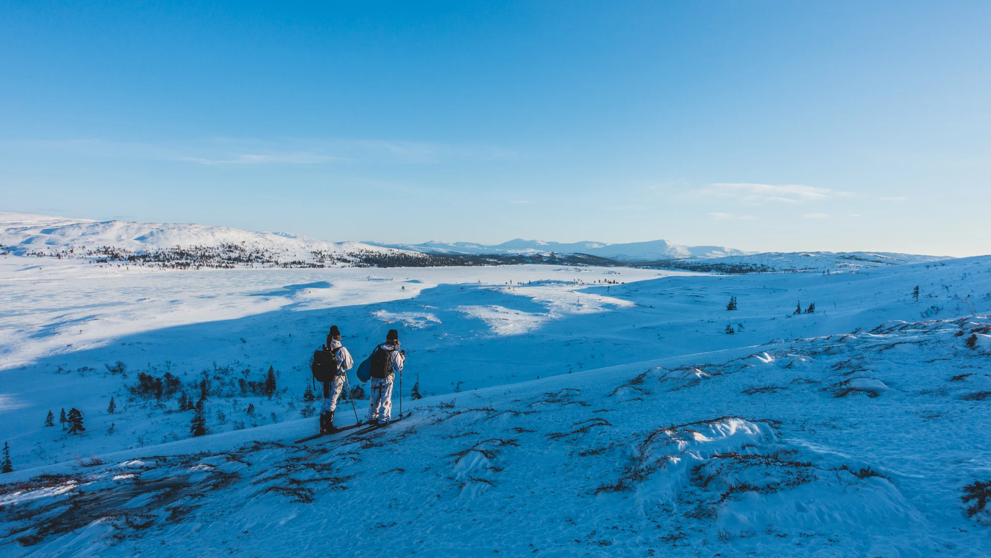 Når fiskere blir jegere — Fjellstyrene i Norge