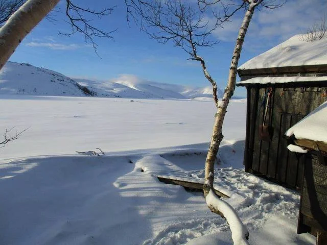 Foto: Namsskogan fjellstyre