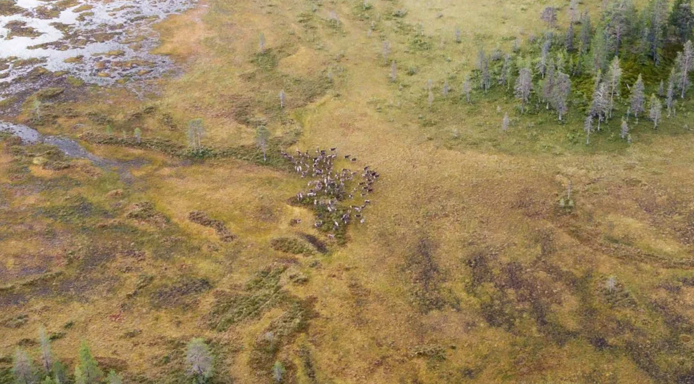 Sollia_drone4_web.jpg