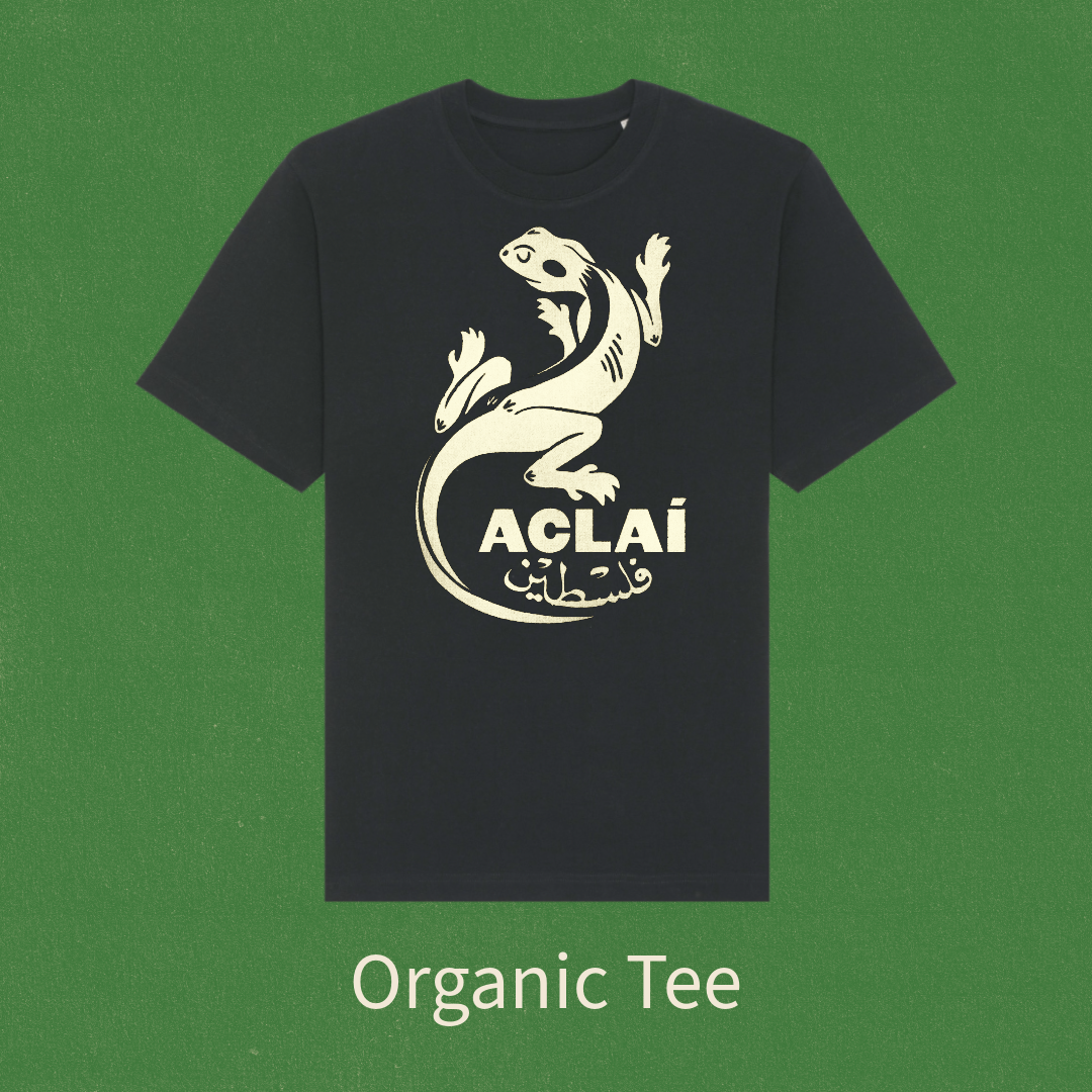 Untitled-3 (13).png