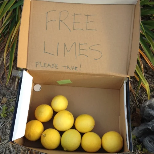 lime7.jpg