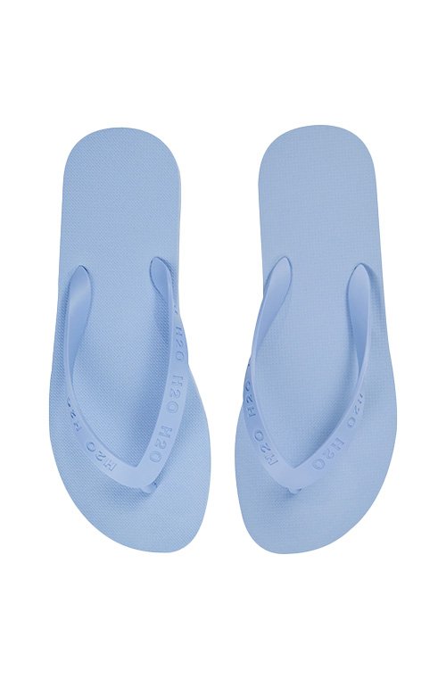 H2O_FlipFlop_1.jpg