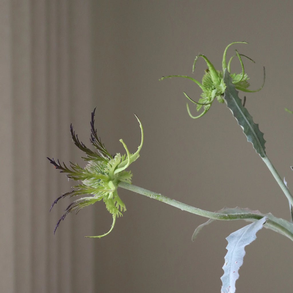 2_Purple Thistle Flower.jpg