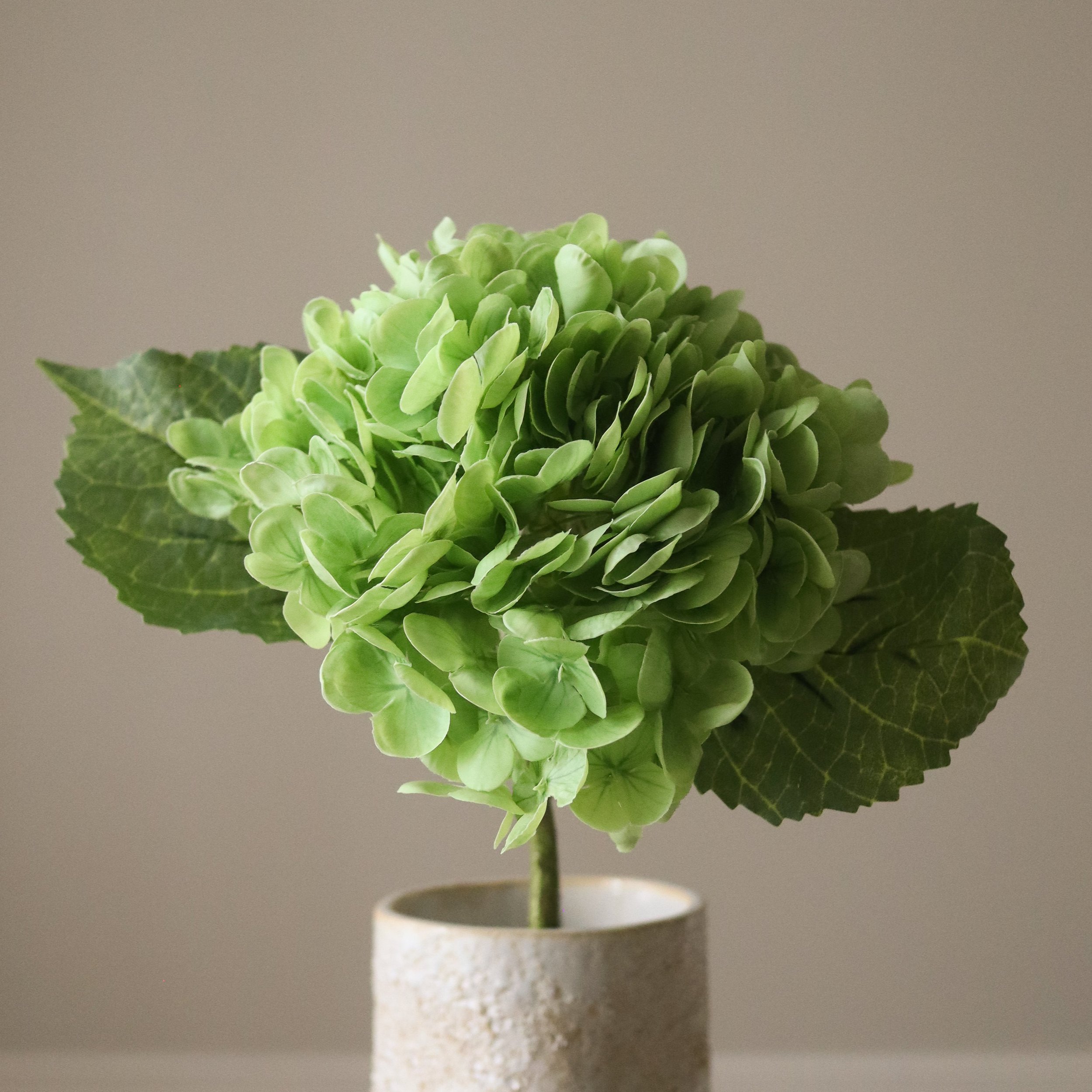 BOTANÉ Green Hydrangea Flower_2.jpg