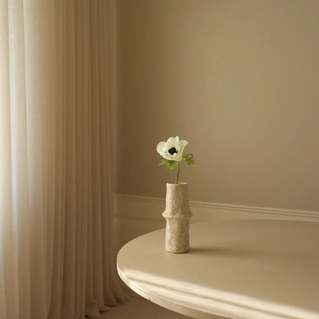 1_White Anemone Flower.jpg