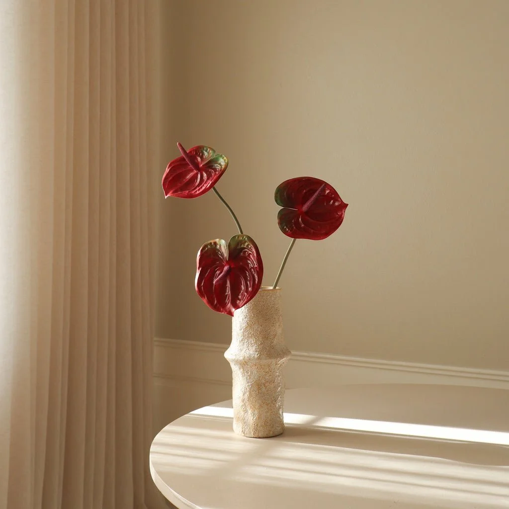 3_Dark Red Anthurium Flower.jpg