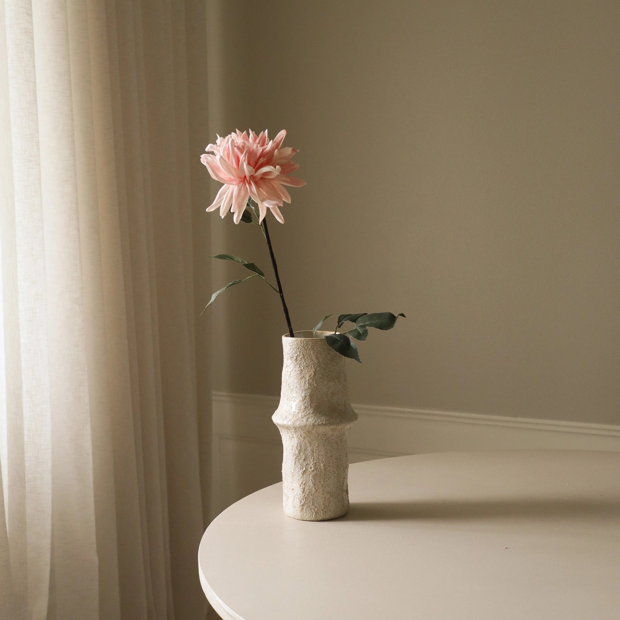 BOTANÉ Pink Cactus Dahlia Flower_1.jpg