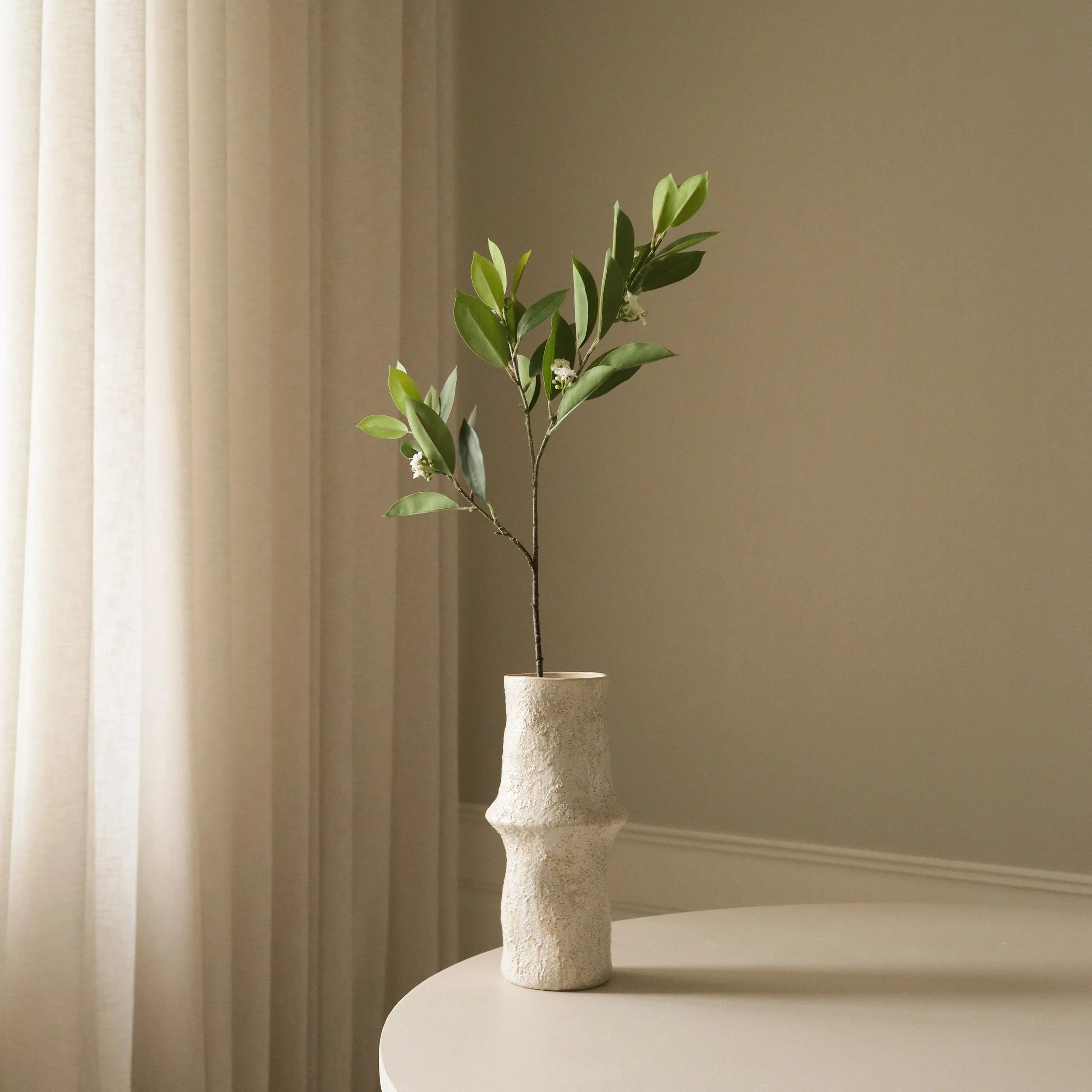 BOTANÉ Green Jasmine Leaves_1.jpg