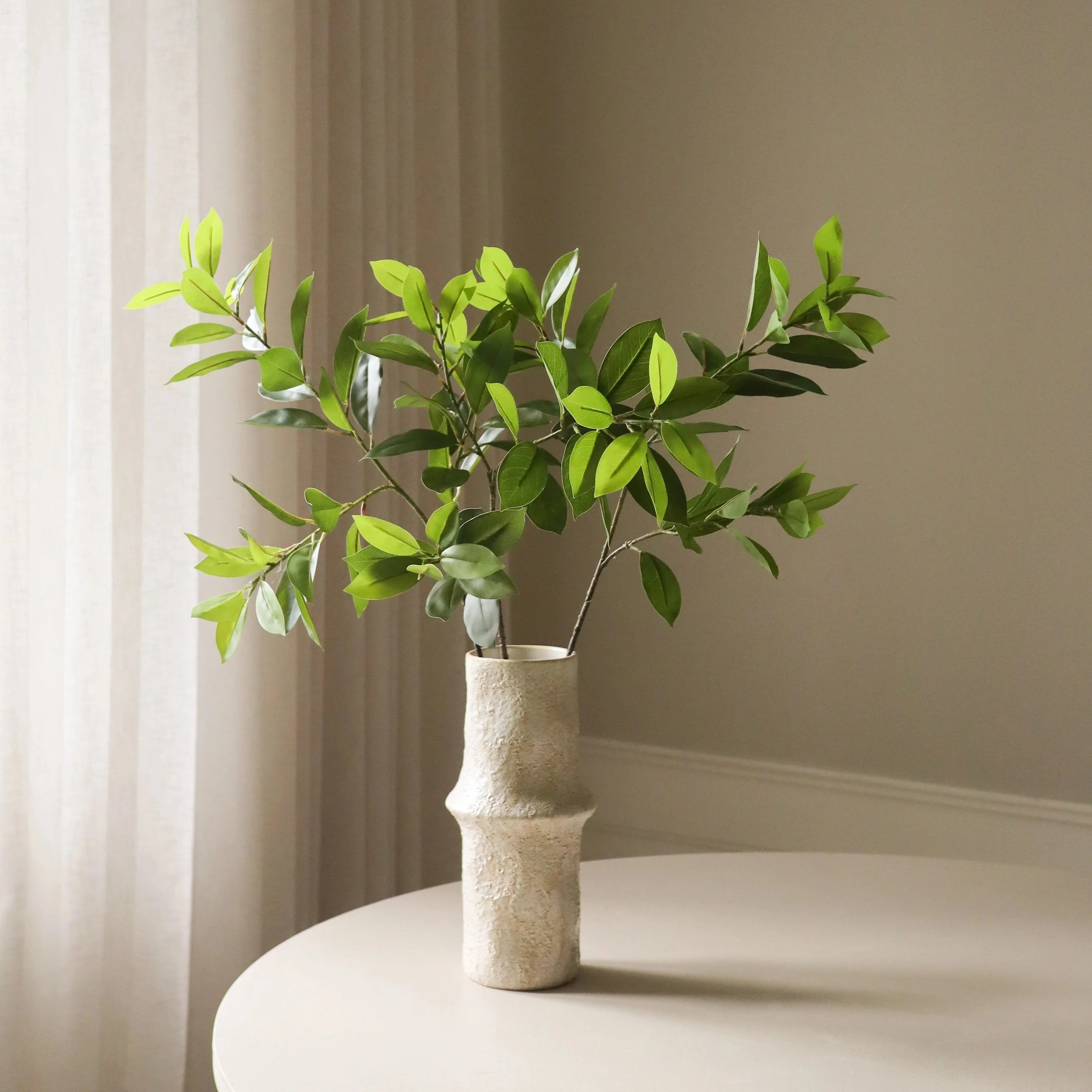 BOTANÉ Green Ruscus Leaves_4.jpg
