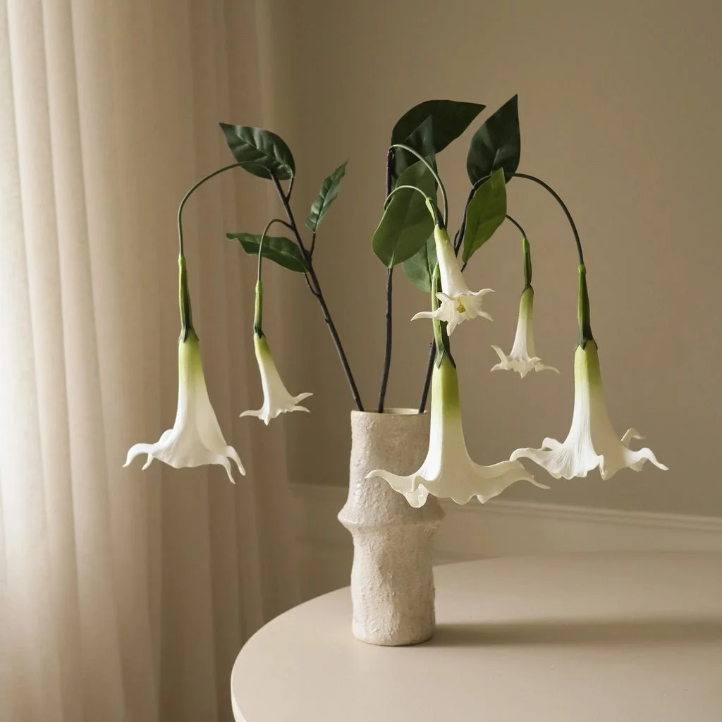 3_White Large Datura Stramonium Flower.jpg