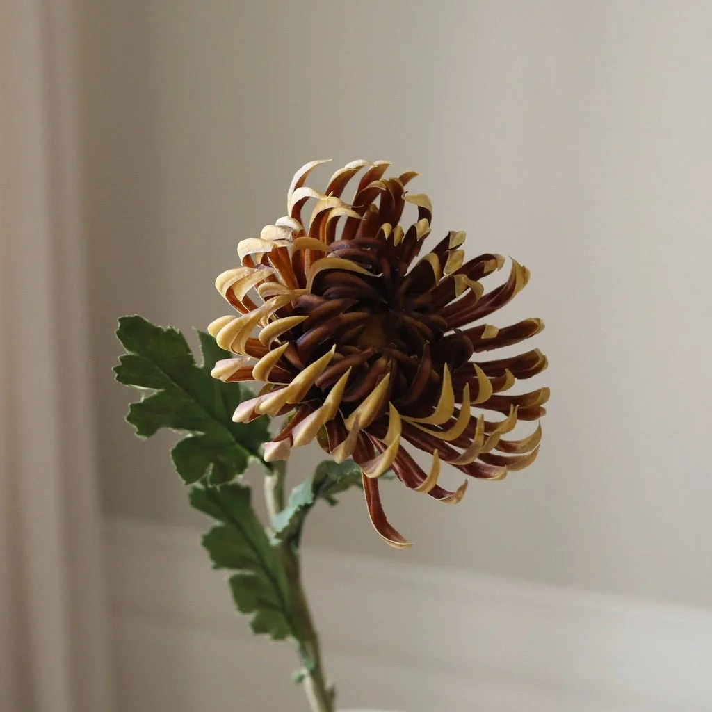 2_Brown Semi-Cactus Dahlia Flower.jpg