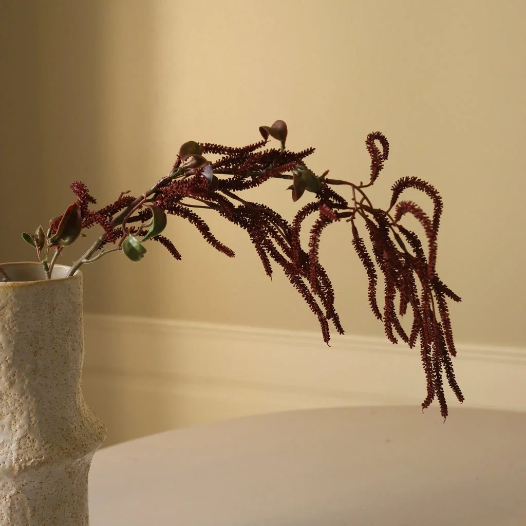 2_Dark Red Amaranthus Cruentus Flower.jpg