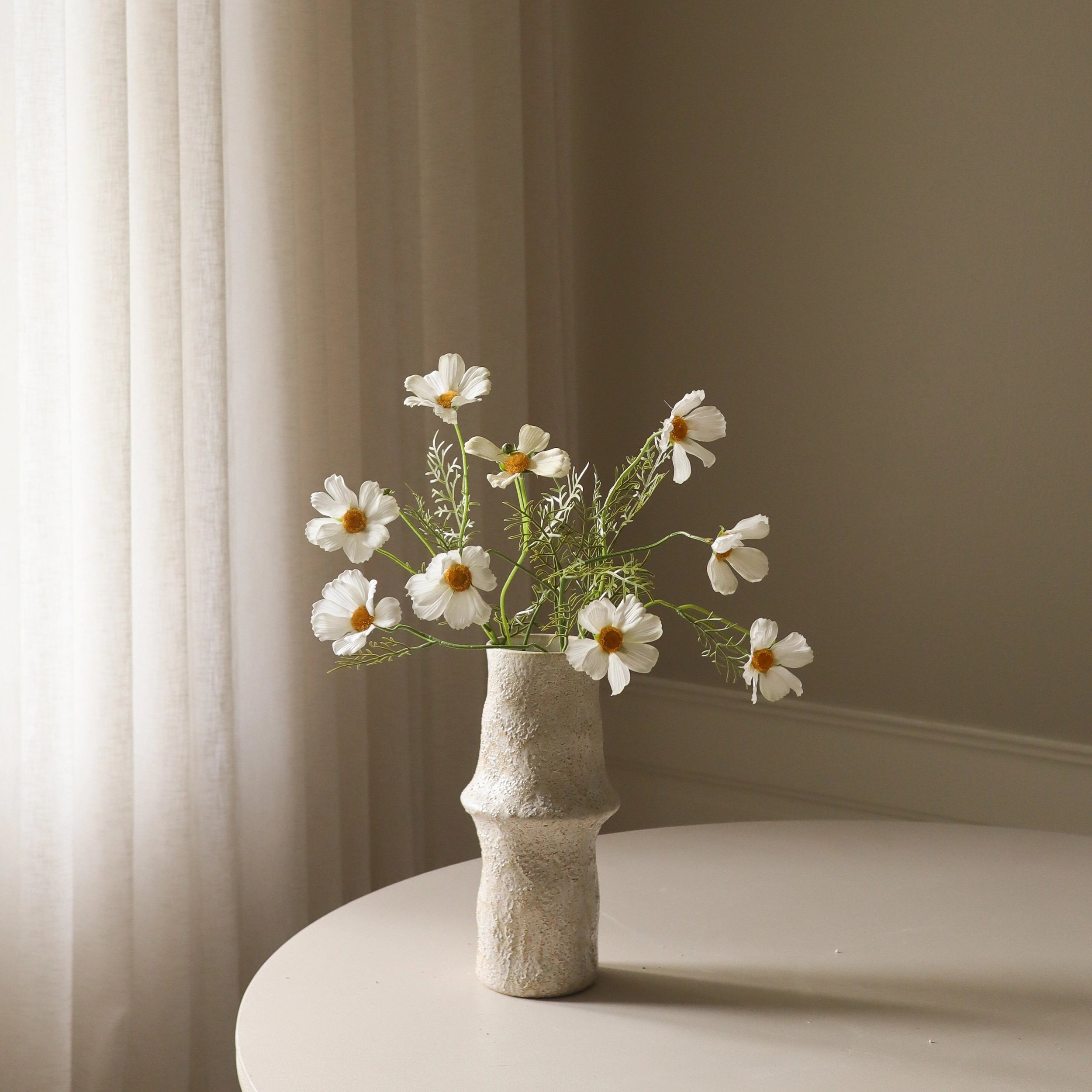 BOTANÉ White Cosmo Daisy Flower_3.jpg