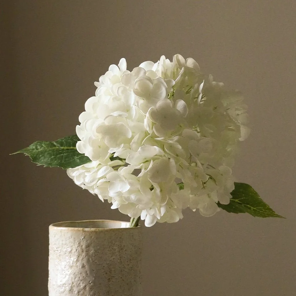 2_White Hydrangea Flower.jpg