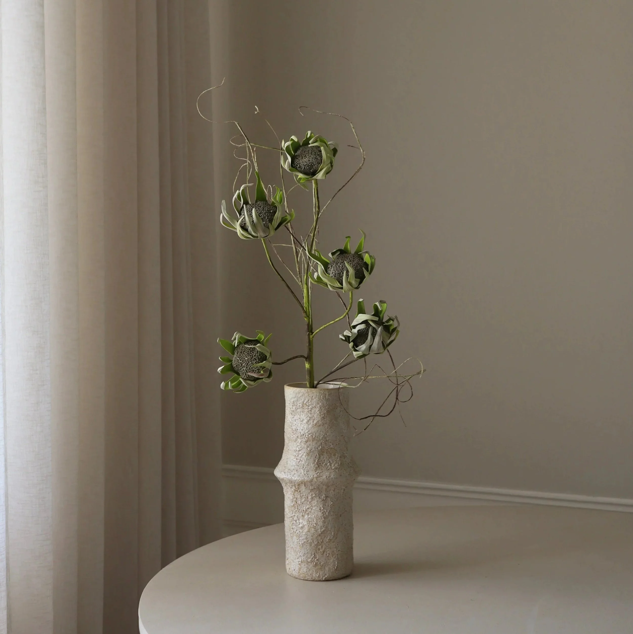 BOTANÉ Green Five Head Dry Protea Flower