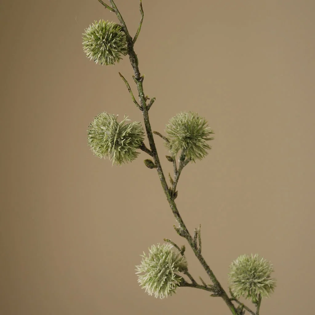 2_Green Thistle Ball Branch.jpg