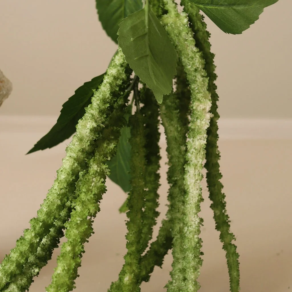 2_Green Three Forks Amaranthus Flower.jpg