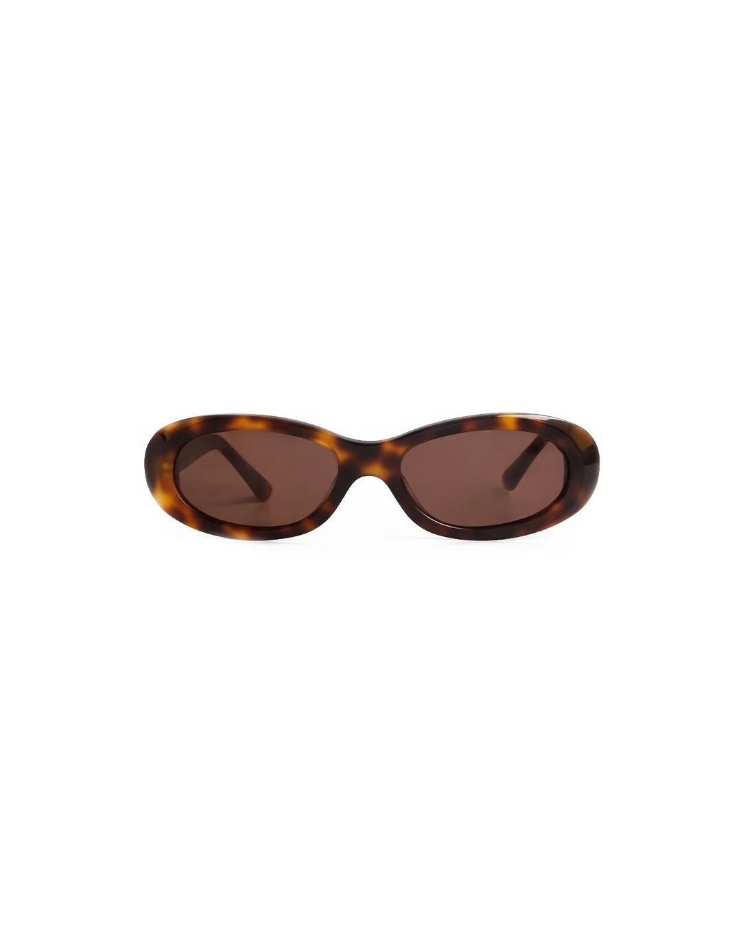 louis-tortoise-vit.jpg