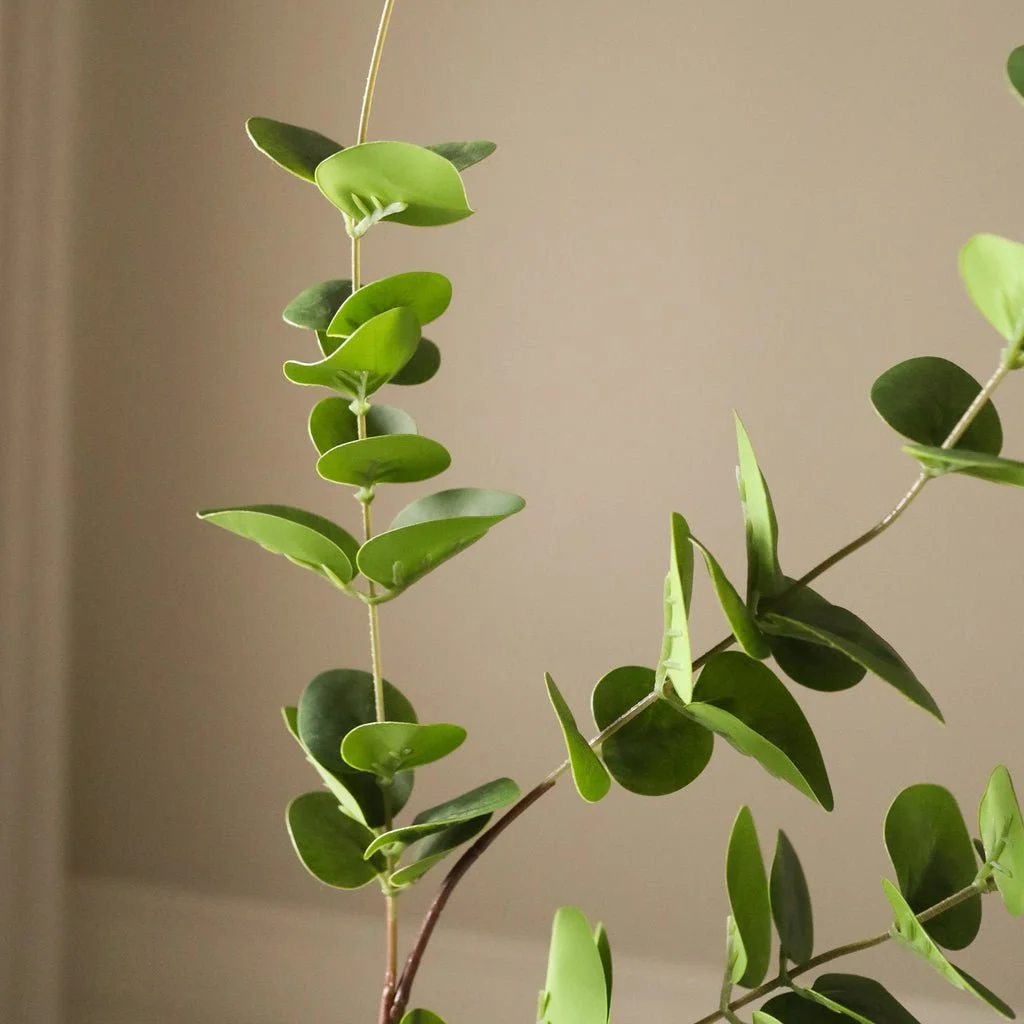 2_Green Eucalyptus Three Leaves.jpg
