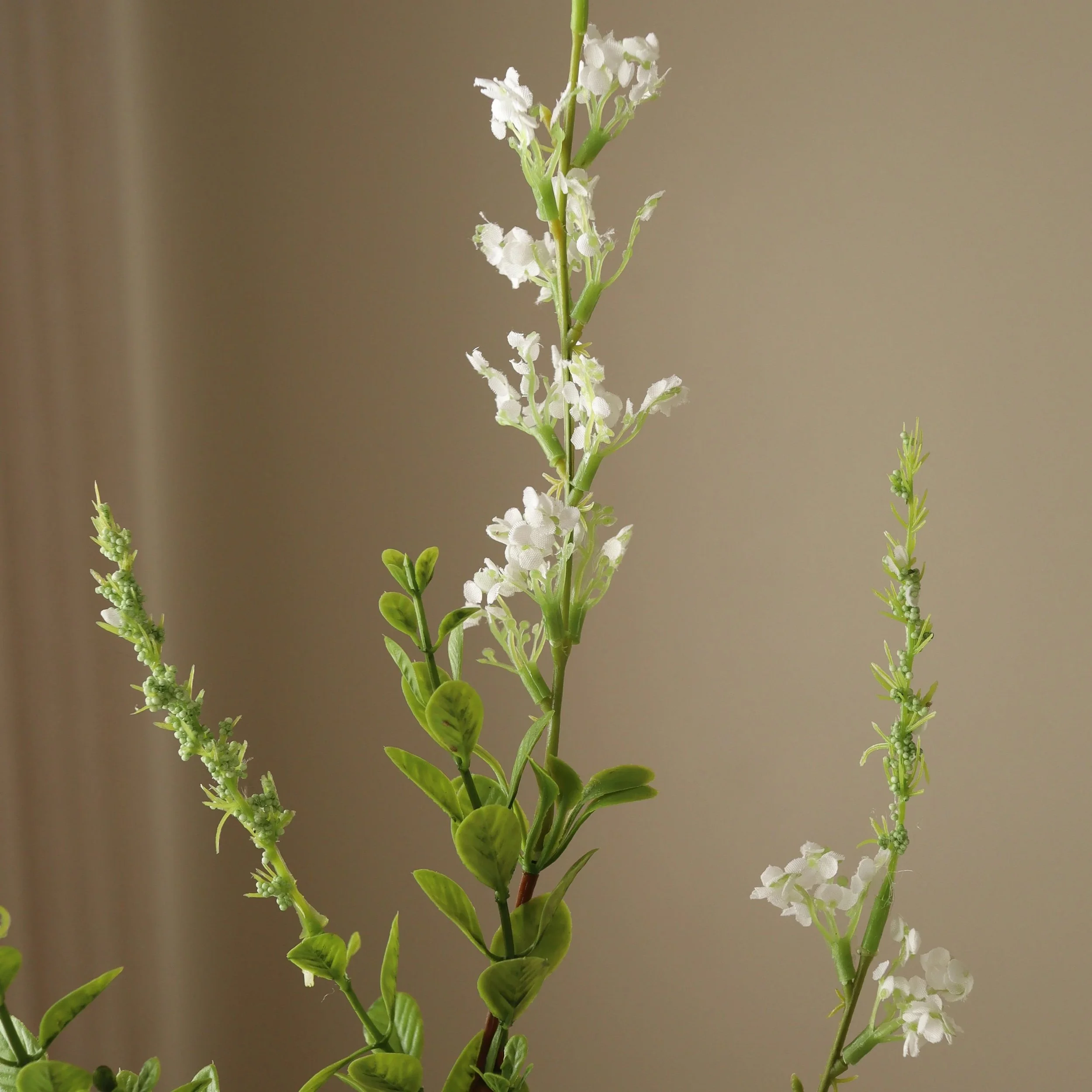 BOTANÉ White Wild Flower_3.jpg