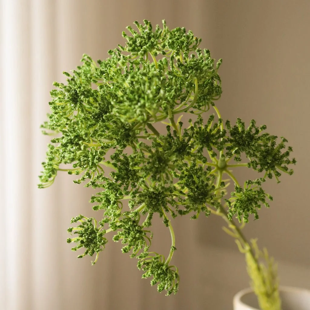 2_Green Queen Anne's Lace Flower.jpg