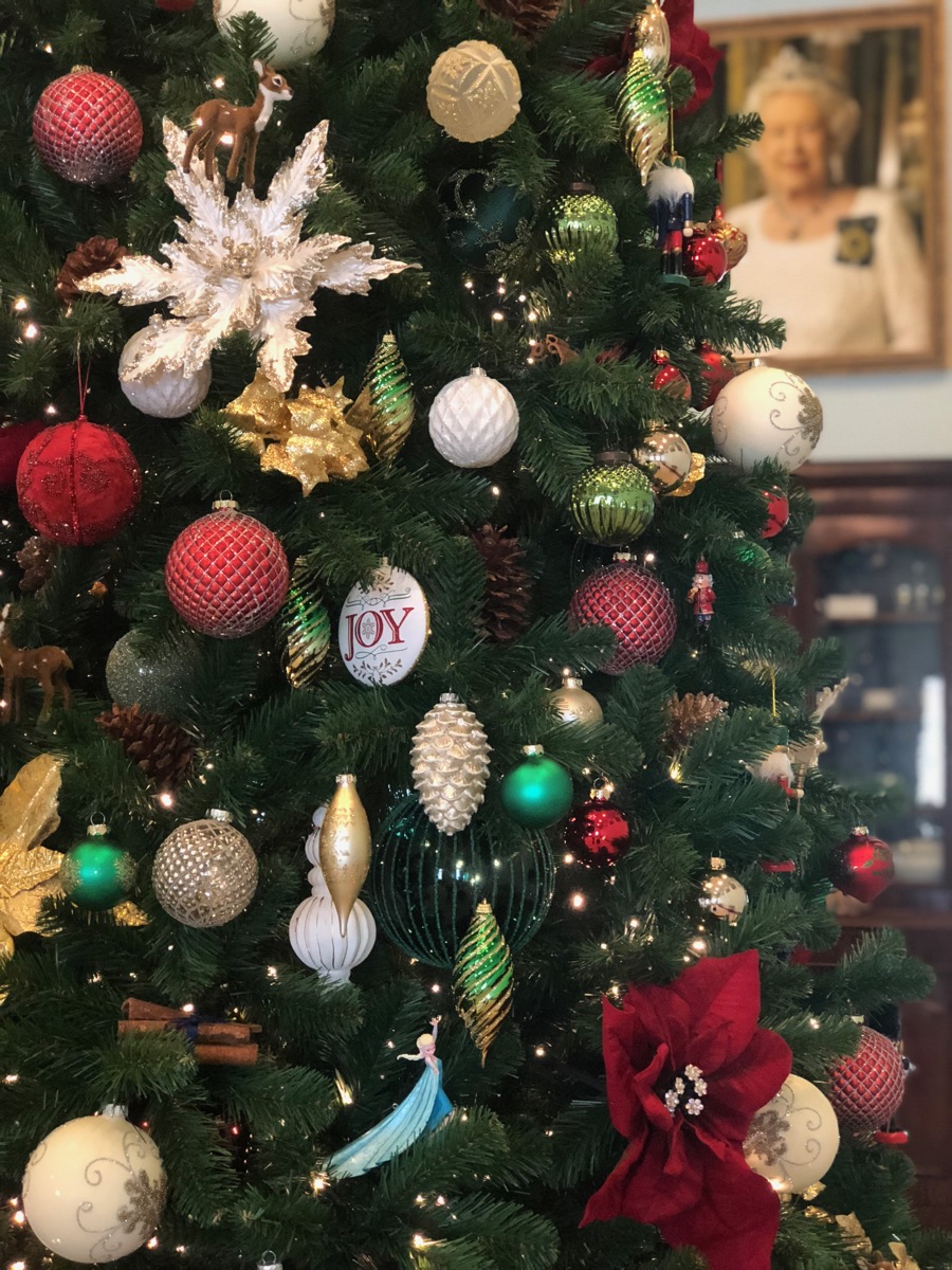 Christmas tree at Government House in Darwin